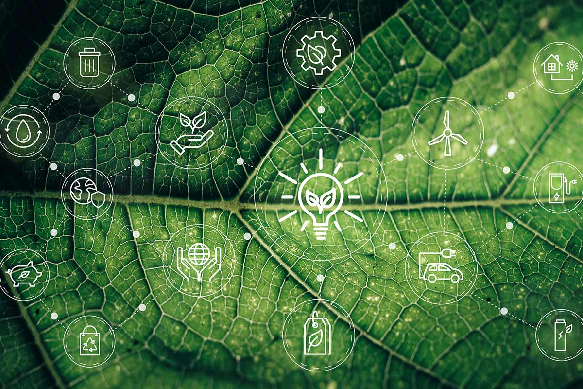 green-business