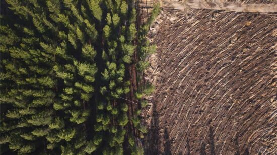 deforestation-from-above